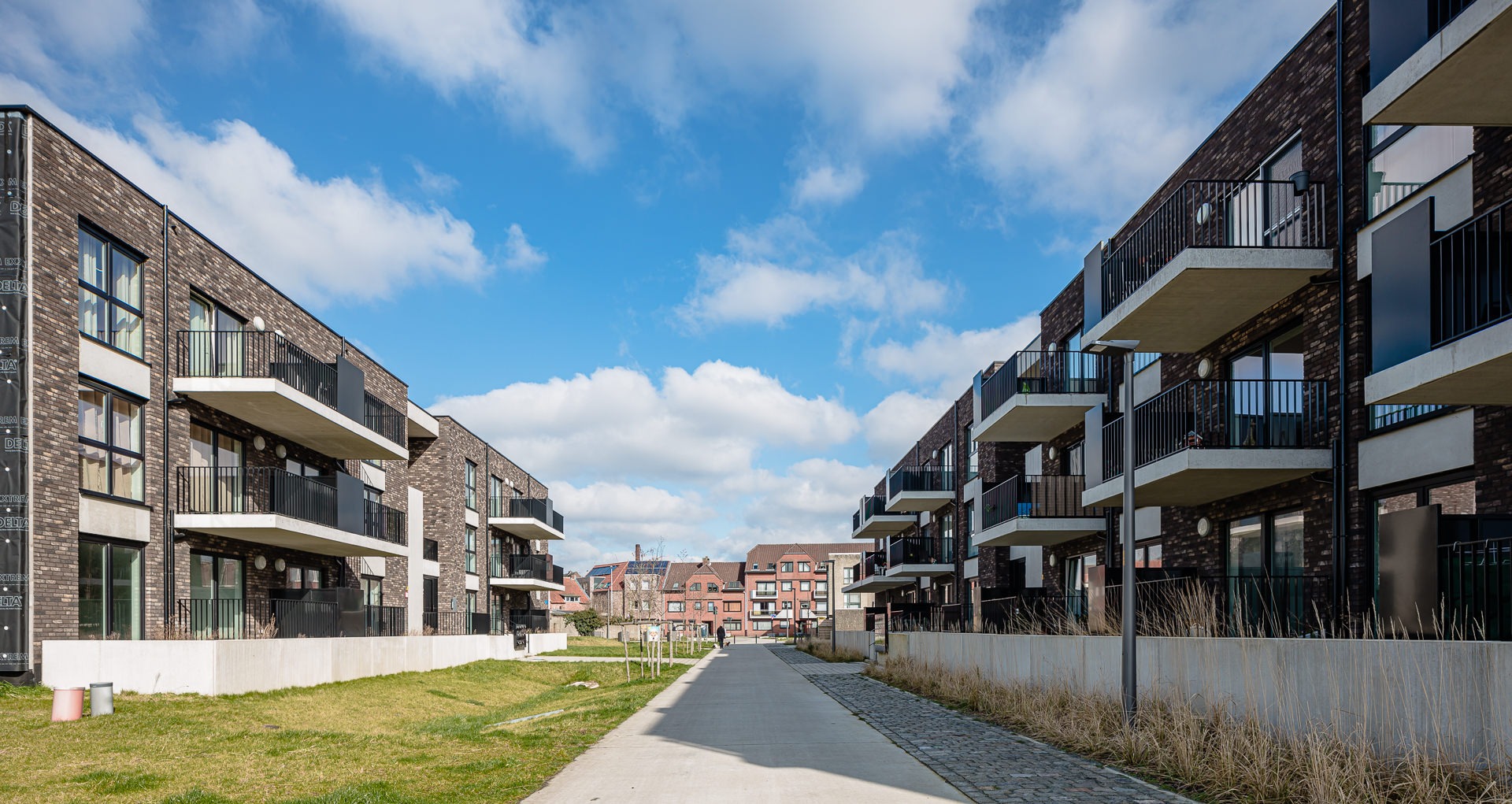 TURK10516C_turnhout_schildpad3-web-1