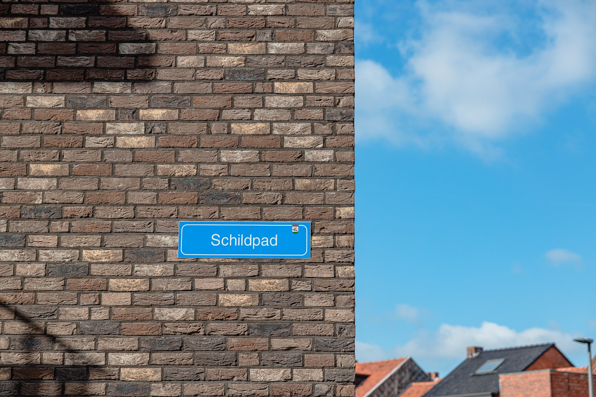 TURK10516C_turnhout_schildpad3-web-10