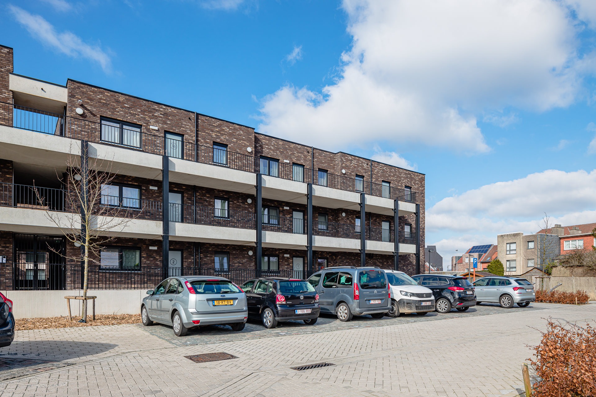 TURK10516C_turnhout_schildpad3-web-5